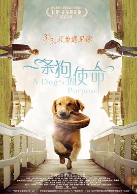 五月月色开心婷婷久久合